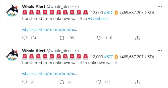 Whale Alert Bitcoin Transferi