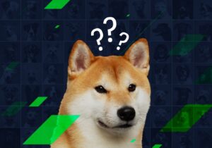 Analist: Dogecoin Yatırımcıları Şimdi Bunları Beklemeli!