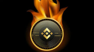 Binance Coin BNB/USDT Fiyat Analizi