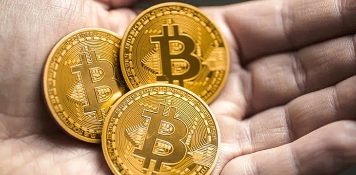 “Bitcoin 100.000$’ı Görecek”