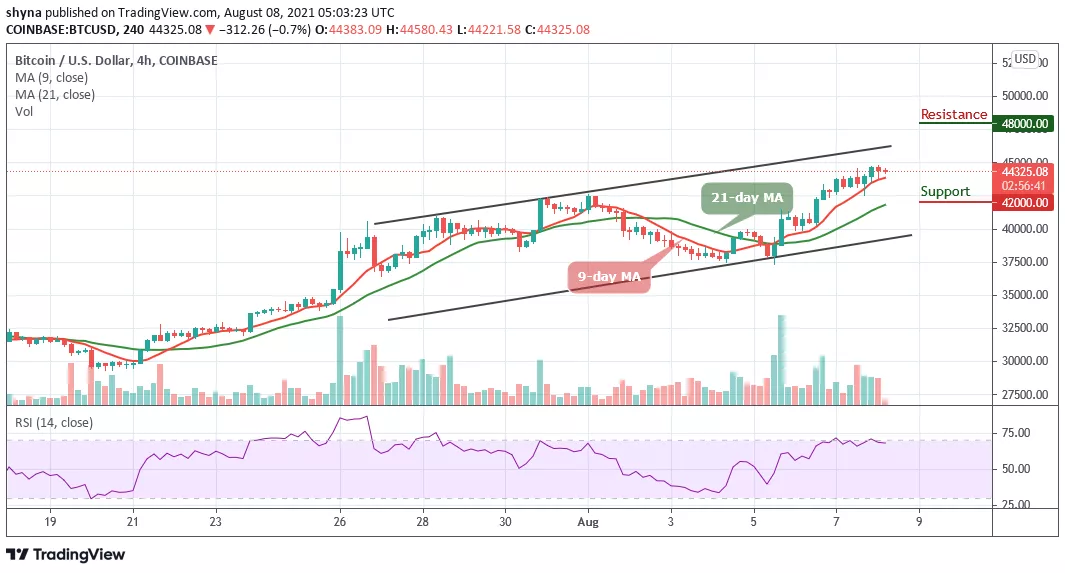 BTCUSD Teknik Anliz Grafiği