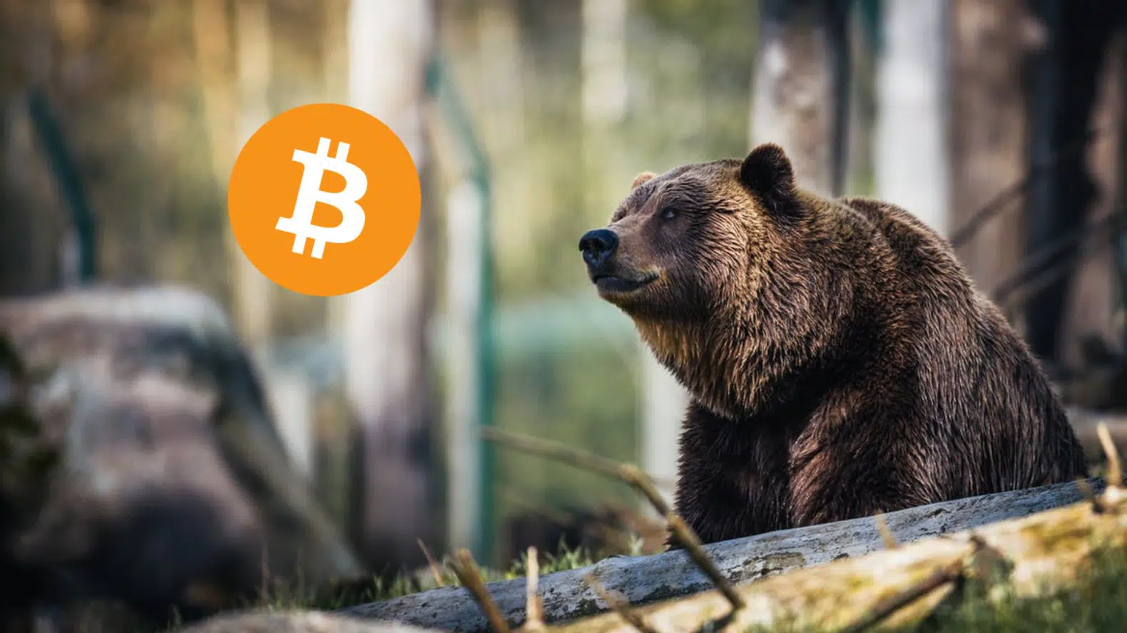 Bütün Döngülerde Yaşandı! Bitcoin’de Ayı Piyasası Onaylanacak Mı?