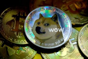 DOGE Bugün Ne Yapacak? Analist Seviyeleri Verdi