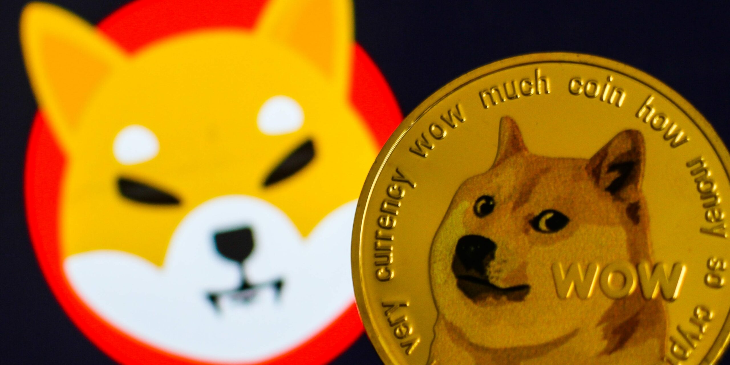 DOGE ve SHIB Tahminleri: Bu Seviyeler Bekleniyor!