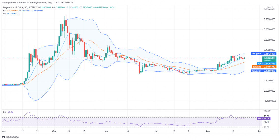 Dogecoin price analysis: Bears all set to pull DOGE below $0.32 1