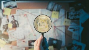 Dogecoin’le İlgili Çarpıcı Gerçek: Ya Borsalarda Kilitli ya da Balinalarda!