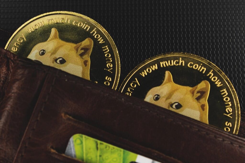 Dogecoin Patladı! Bu Yatırımcıya, “Milyoner” Unvanı Verdi