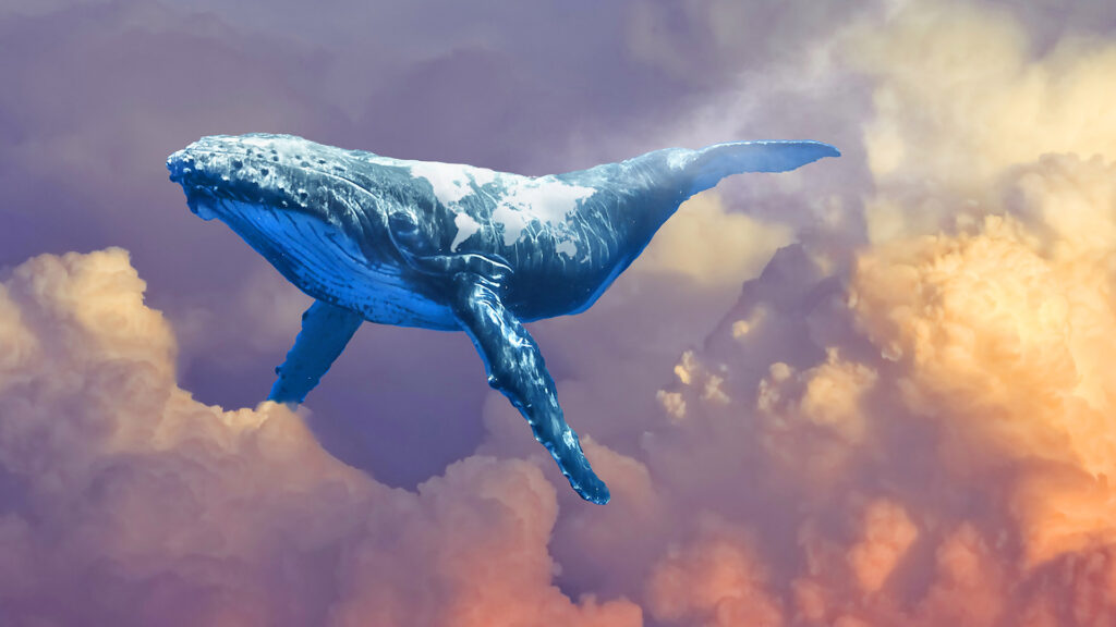 Ethereum Balinaları, Bu Tokenlere Hücum Ediyor: Fiyatını Katladı!