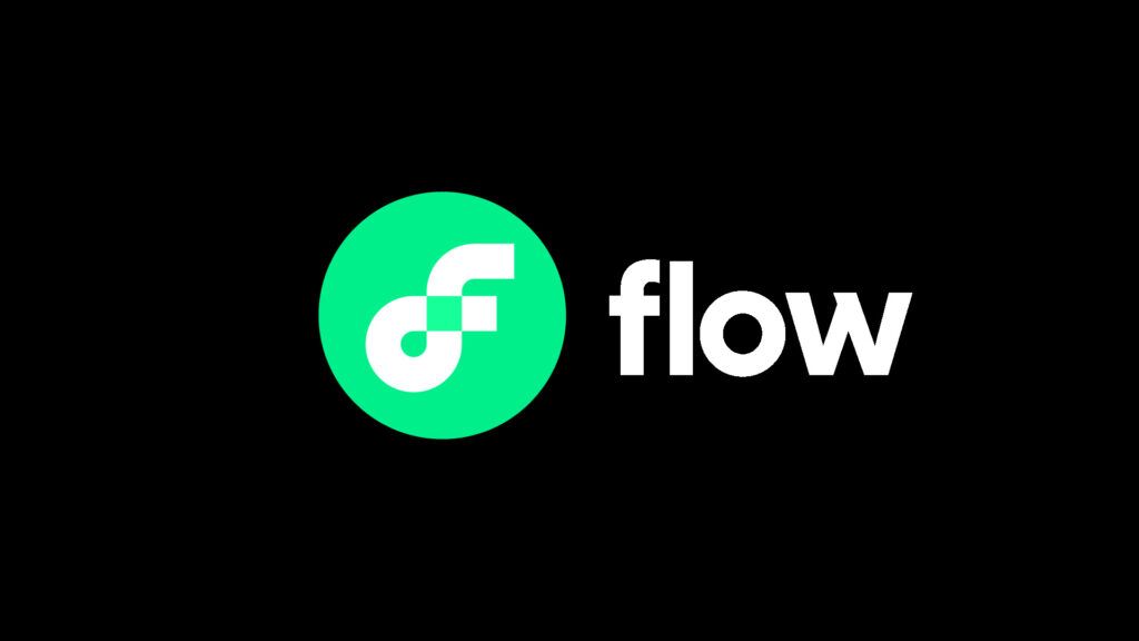 Flow Coin Nedir?