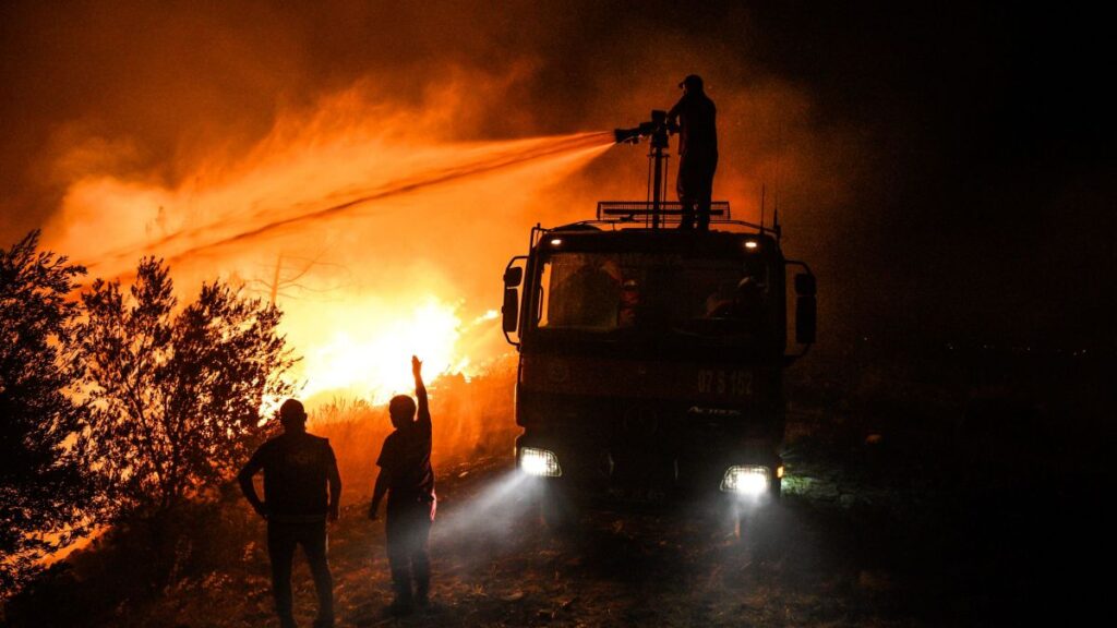 Gate.io’dan Duyarlı Adım: Türkiye’de Orman Yangınlarından Etkilenenlere Bağış Yapacak