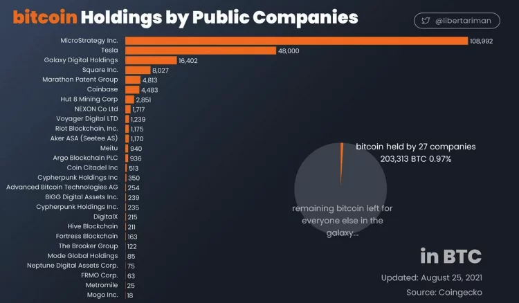 Kurumsal Yatırımcılar Ne Kadar Bitcoin Tutuyor?