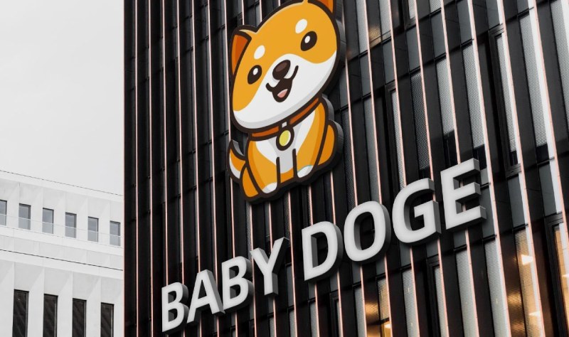 OKEx, Baby Doge Coin’i listelemeye başladı