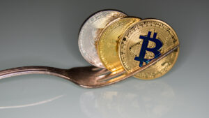 Tahminleriyle Ünlenen Bitcoin Ustası: Maksimum Noobish Dönemindeyiz!