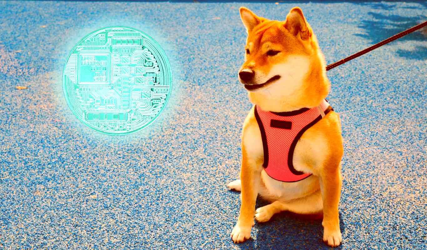 Türkiye’de Milyarlık Dogecoin Vurgunu: DOGE’leri Alıp Kaçtı!