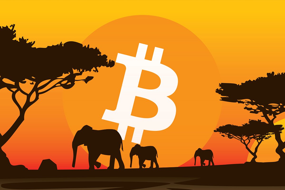 Afrika’da Bitcoin (BTC) Benimsenme Oranı Artıyor