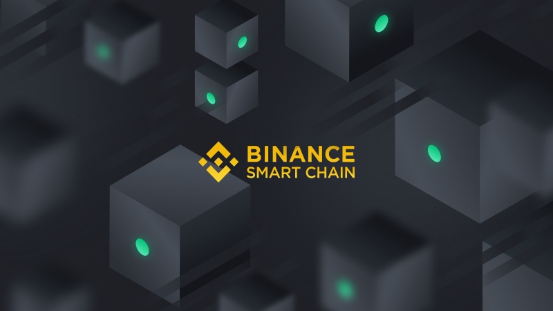 Binance Smart Chain’in (BSC) başarısının altından balinalar çıktı