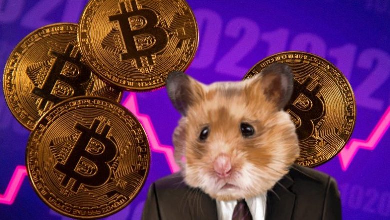 Bir Hamster, Altcoin Ticareti Yapıyor: Bu 4 Coin’den Aldı ve BTC’yi Solladı!