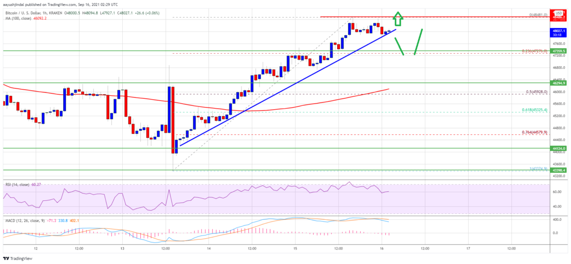 bitcoin btc fiyat analizi guc kazaniyor 50 000 dolar yolunda mi