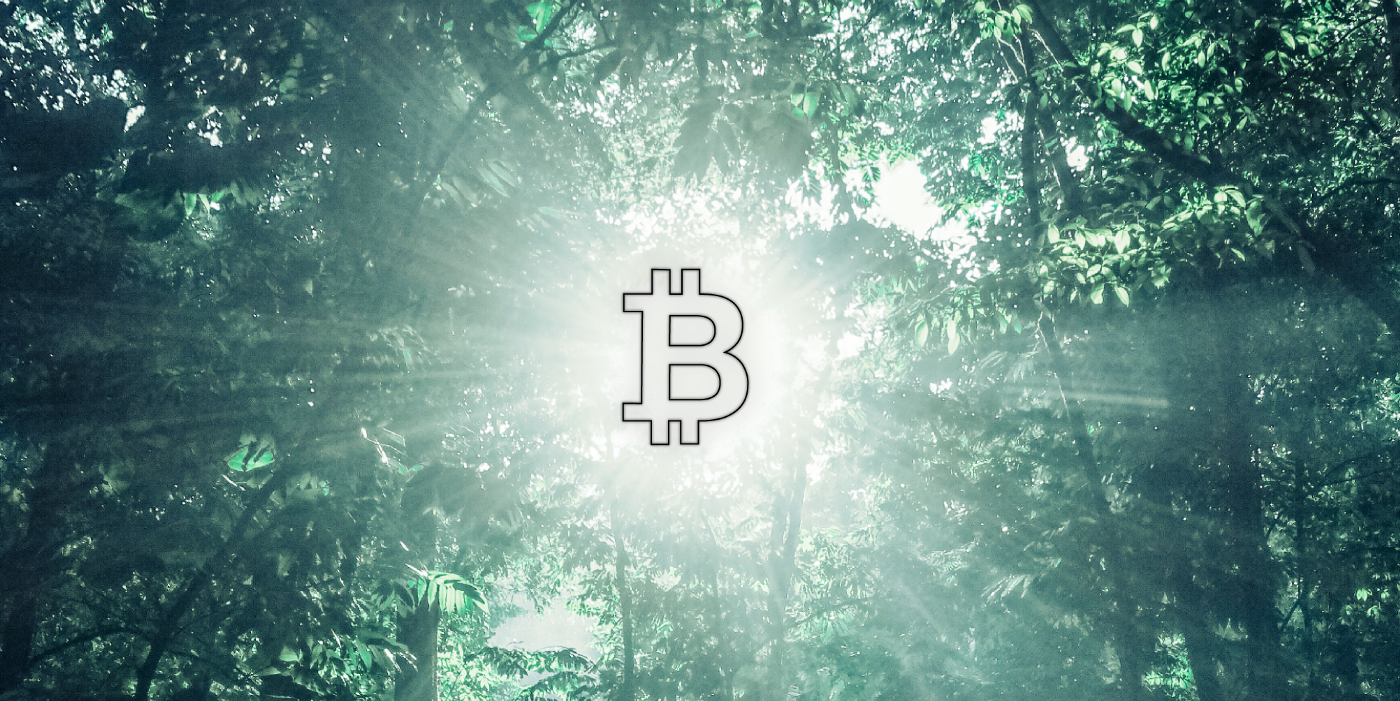 Bloomberg: Bu Altcoin, BTC’yi Devirebilir! Bitcoin ise…