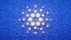 Cardano Vakfı, Rival ile NFT Alanı İçin İş Birliği Kuruyor