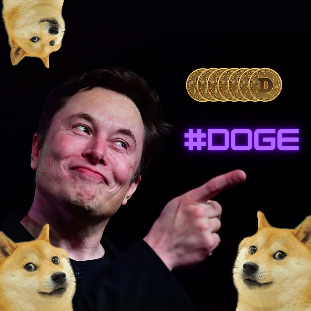 Dev DOGE hesabından Elon Musk’a Çağrı: Karşılıklı Fayda!