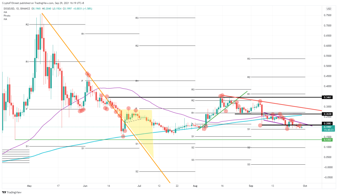 DOGE/USD daily chart