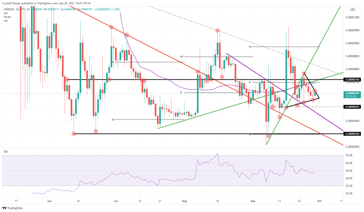 SHIB/USD daily chart