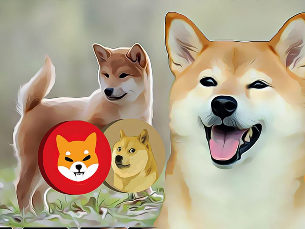 DOGE ve SHIB Tahminleri: Bu Seviyeler Ufukta Görünüyor!