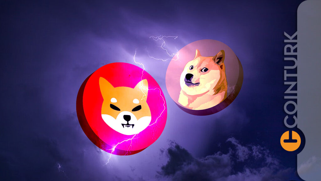 Dogecoin, Çin’in Kripto Yasağının Ardından Yüzde 10 Düştü! Bu Şaka Coin’lerde Kayıplar Büyük