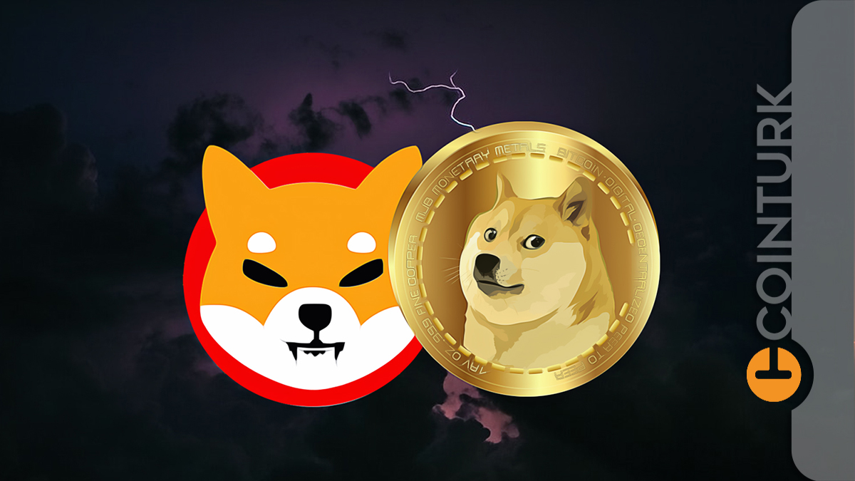 Dogecoin (DOGE) ve Shiba Inu (SHIB) Düşüş Seansında Nasıl Bir Performans Ortaya Koydu?