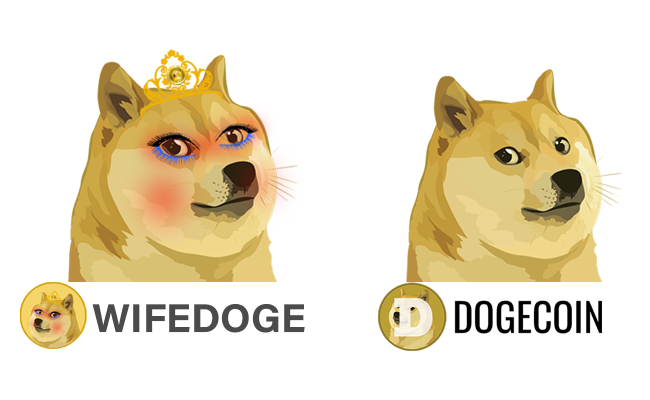 Dogecoin’in “Eşi” Wifedoge, Tek Günde Yüzde 3.300 Yaptı! Peki Nedir?