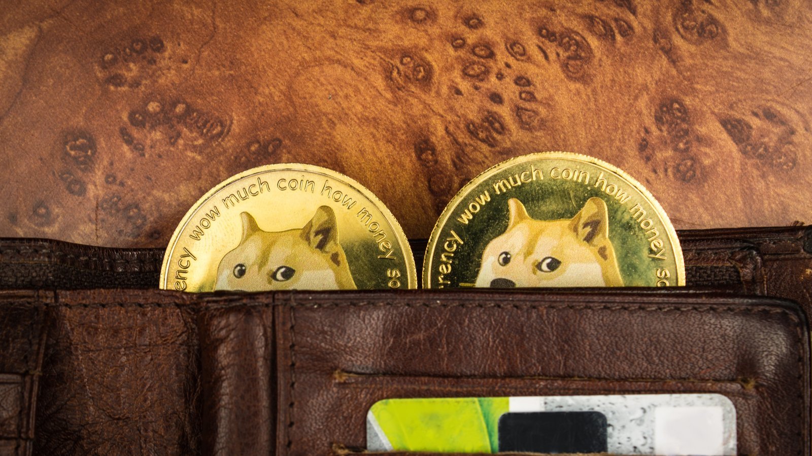 Dogecoin Kurucusu, DOGE’a Yardımcı Olacağına İnandığı İki Şeyi Açıkladı