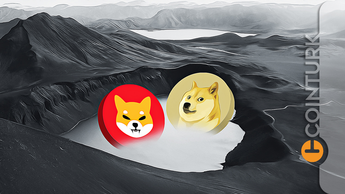 Dogecoin ve Shiba Inu’da Son Durum: Fiyatlar Yeniden Yükselebilir Mi?