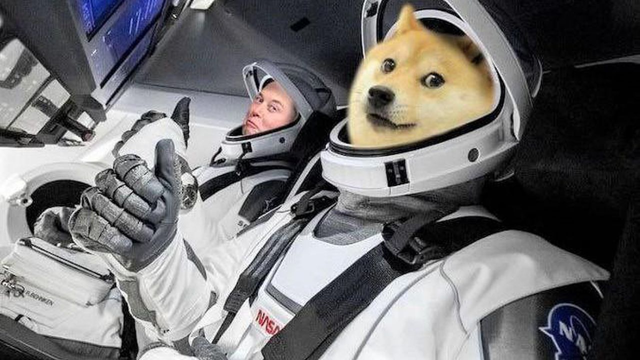 Elon Musk Her Zaman Dogecoin (DOGE) Topluluğunun Desteğini Alacak