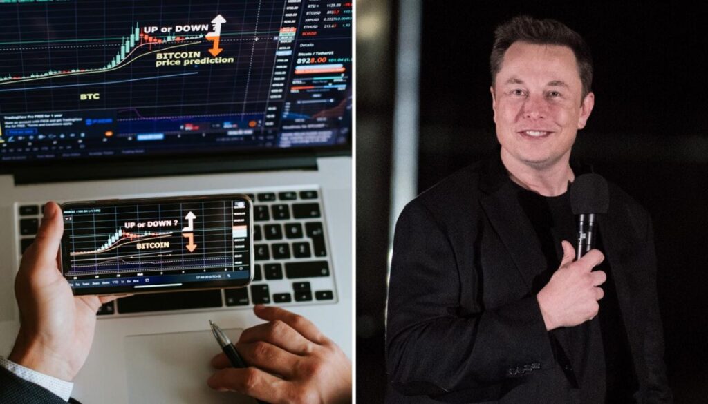 Elon Musk Tweet Attı ve Bu 2 Meme Coin Fırladı!