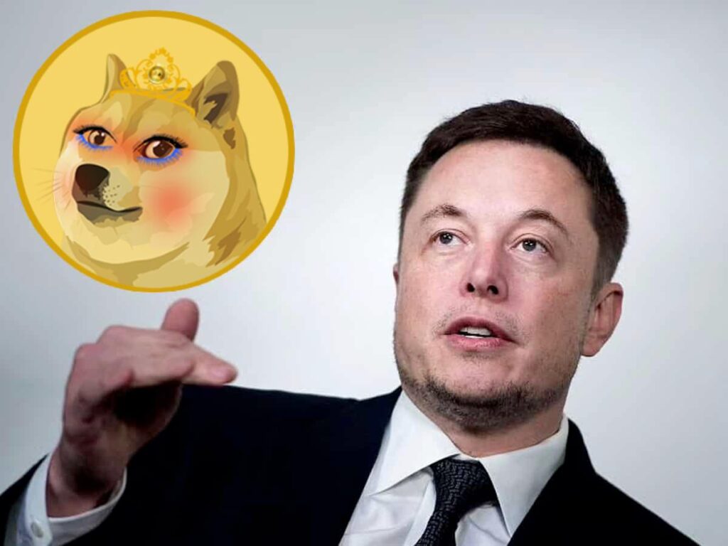 Gözler DOGE Canlısı Bu Meme Coin’de! Fiyatı Patlayabilir Mi?