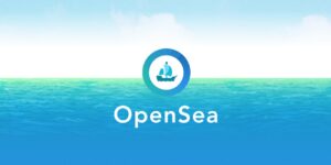 OpenSea’deki Bir Hata, 100.000 Dolar Değerinde 42 NFT’yi Yok Etti