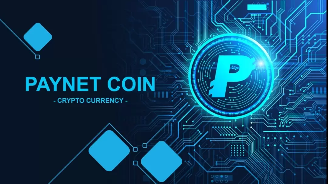 Paynet Coin 250.000 Dolarlık Ödül Kampanyasını Duyurdu