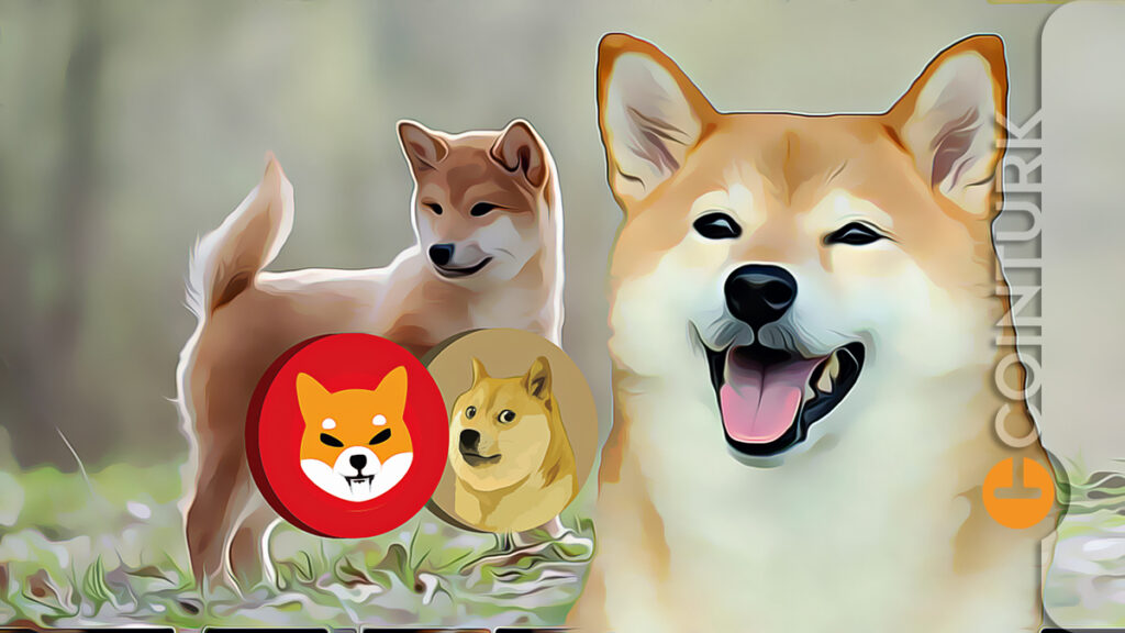 Shiba Inu (SHIB), Dogecoin (DOGE) ve Baby Dogecoin Fiyat Tahminleri! Merak Ettikleriniz!