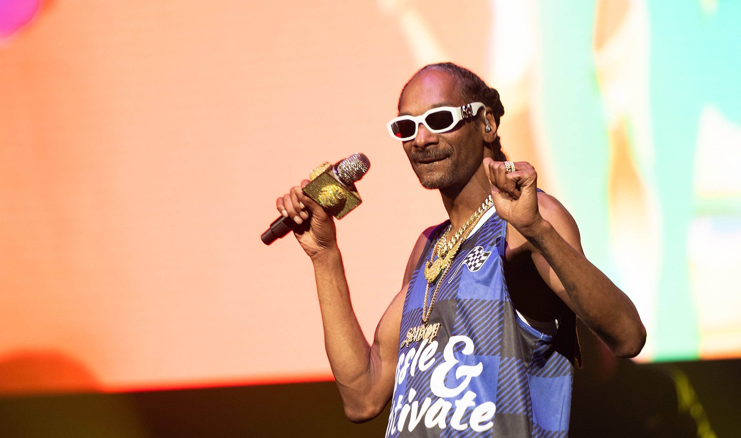 Snoop Dogg 17 Milyon Dolarlık NFT Koleksiyonu Olduğunu Duyurdu