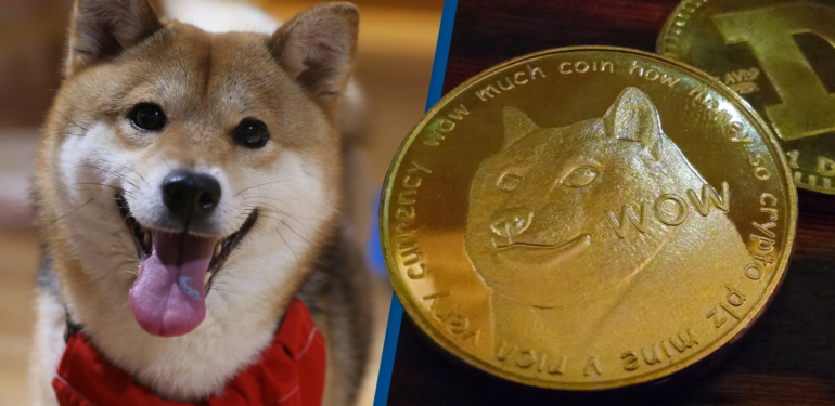 ABD’li Politikacı Bu 3 Meme Coin’e Dikkat Çekti: Artık Sahipsiniz!