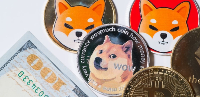 ABD’li Politikacıdan Sevindiren SHIB ve DOGE Yorumları!