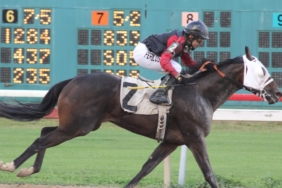 Analist İddialı: Bu Altcoin, Piyasadaki En Hızlı At!