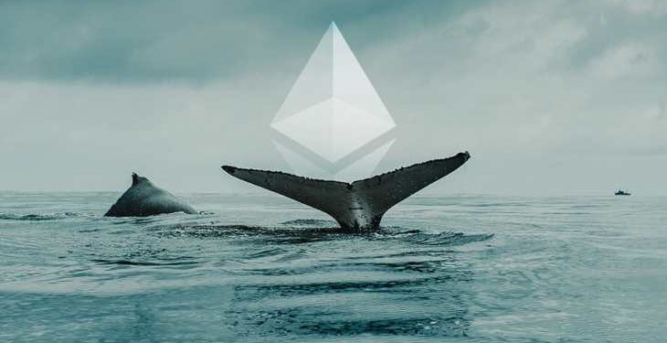 balinalar-ath-yi-goren-ethereum-da-ataga-gecti-milyarlar-oynadi - Crypto Turkey Balinalar, ATH’yi Gören Ethereum’da Atağa Geçti: Milyarlar Oynadı!