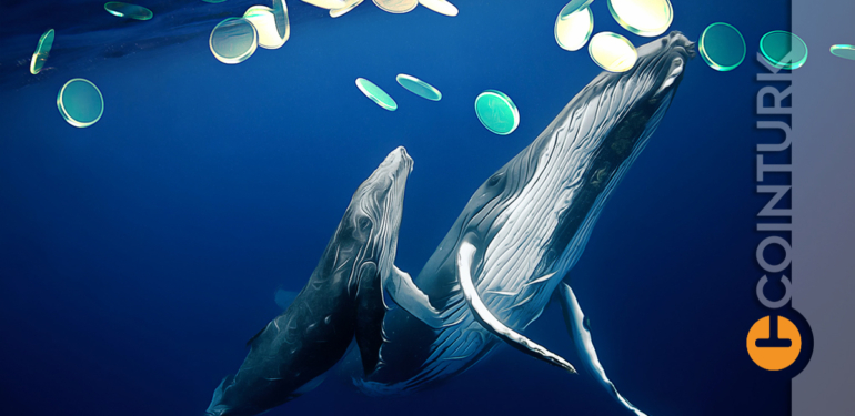 Balinalardan Dipten Alım Alarmı: Bu Altcoin’e Akın Ettiler