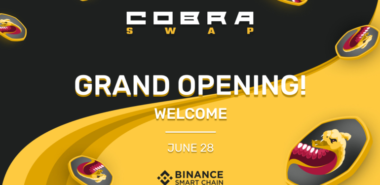 binance-smart-chain-deki-yeni-otomatik-piyasa-yapici-cobraswap - Crypto Turkey Binance Smart Chain’deki Yeni Otomatik Piyasa Yapıcı: CobraSwap