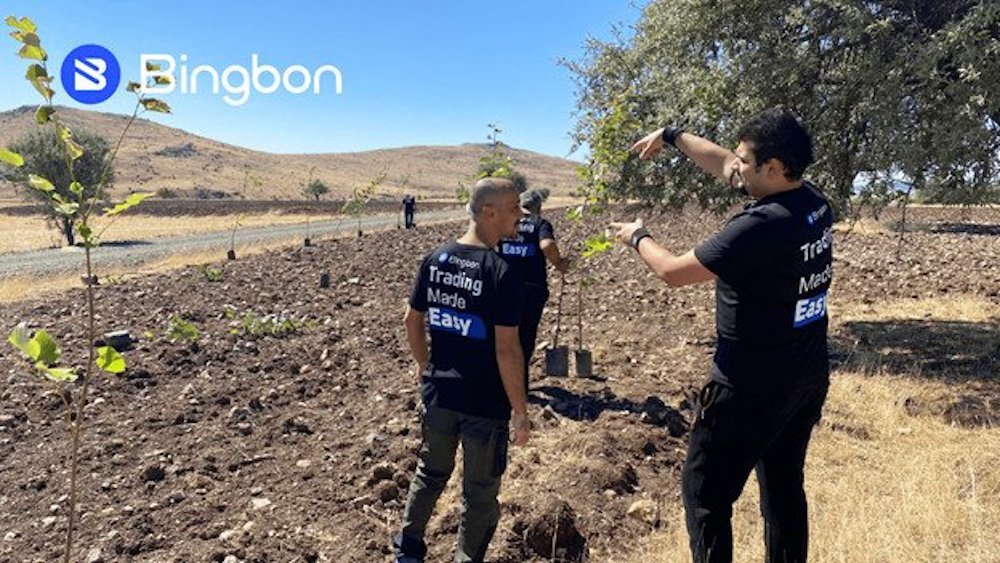 Bingbon, Türkiye’de “Karbonsuz Ağaçlandırma Projesi”ni Başlattığını Duyurdu