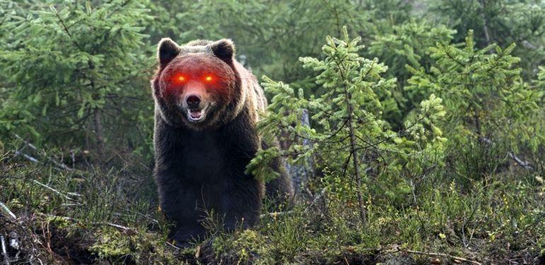 Bitcoin’in Her Adımını Bilen Analist Açıkladı: Ayı Piyasasına mı Giriyoruz?