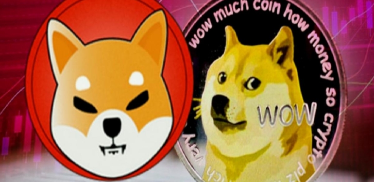 bloomberg-analistinden-cok-konusulacak-shib-ve-doge-tahminleri - Crypto Turkey Bloomberg Analistinden “Çok Konuşulacak” SHIB ve DOGE Tahminleri!