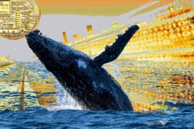 Bu Altcoin’de Balina Hareketliliği: Stoklama Çılgınlığı!